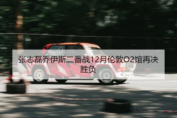 张志磊乔伊斯二番战12月伦敦O2馆再决胜负